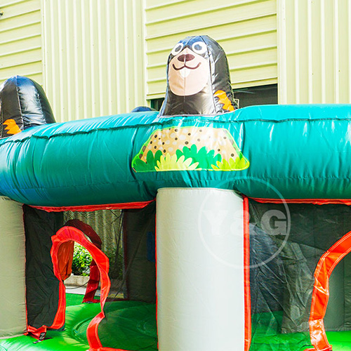 Whack-a-mole Inflatable Game SportsYGG64-1