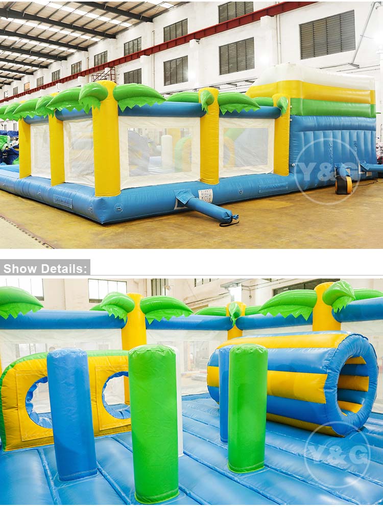 Nice Inflatable Water Slide with PoolS23-17