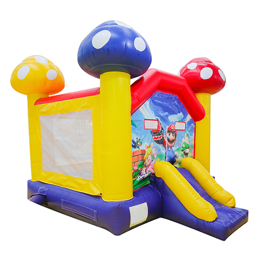 Inflatable Super Mario Bounce HouseYG-114