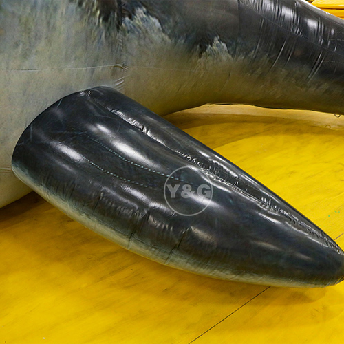 Realistic Inflatable SharkGO067