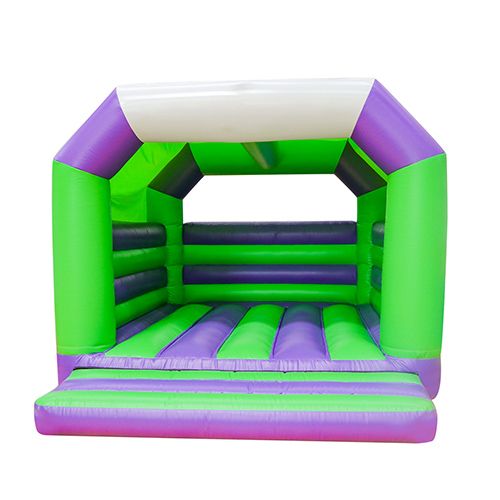 Inflatable Purple Green Bounce HouseYG-118