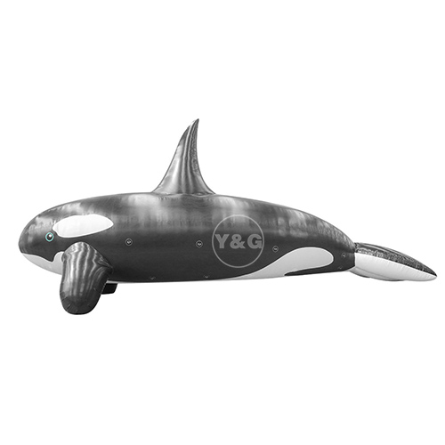 Inflatable black dolphin balloonGO068