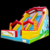 Blow up water slide for saleYGS-09