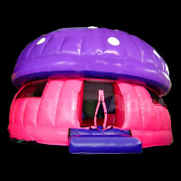 Inflatable Bouncers ShapesGB313