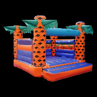 Inflatable Bouncers ManufacturersGB314