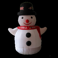 Inflatable Toy WholesaleGC020