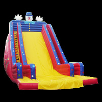 Extreme Sports Inflatable SlideGI025