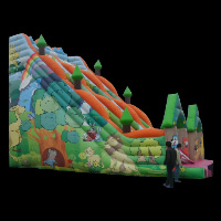 Rent Inflatable SlideGI110